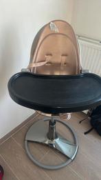 Bloom fresco, Enlèvement