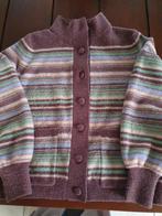 Cardigan wintee, Kleding | Dames, Truien en Vesten, Ophalen of Verzenden, Maat 38/40 (M)