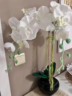 Kunstplant, Enlèvement