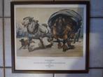 Alfred Ost kader  met poster 1945 Dierkunde Antwerpen, Ophalen of Verzenden