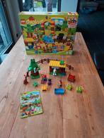 Duplo grote dierenbos, Kinderen en Baby's, Ophalen of Verzenden, Duplo