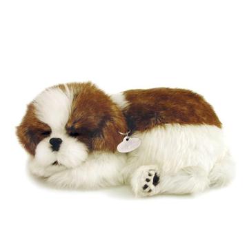 Perfect Petzzz Shih Tzu pup ademt 'echt'