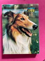 Puzzel hond, Boeken, Dieren en Huisdieren, Ophalen, Zo goed als nieuw