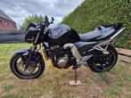 Kawasaki Z750, Particulier
