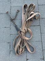 Longeerlint voor normale paarden, Dieren en Toebehoren, Ophalen, Gebruikt, Dressuur
