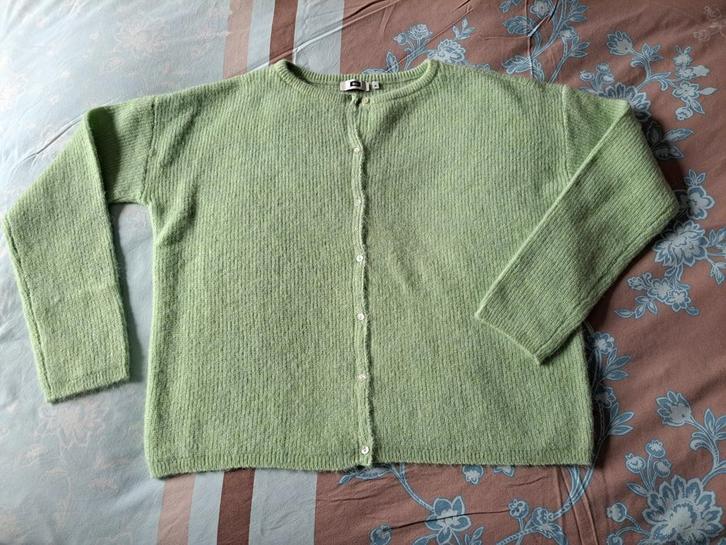 WE, cardigan met wol en Alpaca,  M, oversized, Kleding | Dames, Truien en Vesten, Zo goed als nieuw, Maat 38/40 (M), Groen, Ophalen of Verzenden