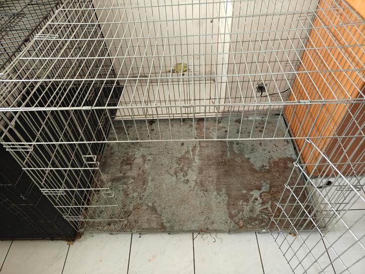 1 hondenkooi, Dieren en Toebehoren, Hondenhokken, Gebruikt, Hondenhok, 65 tot 100 cm, 110 cm of meer, Ophalen