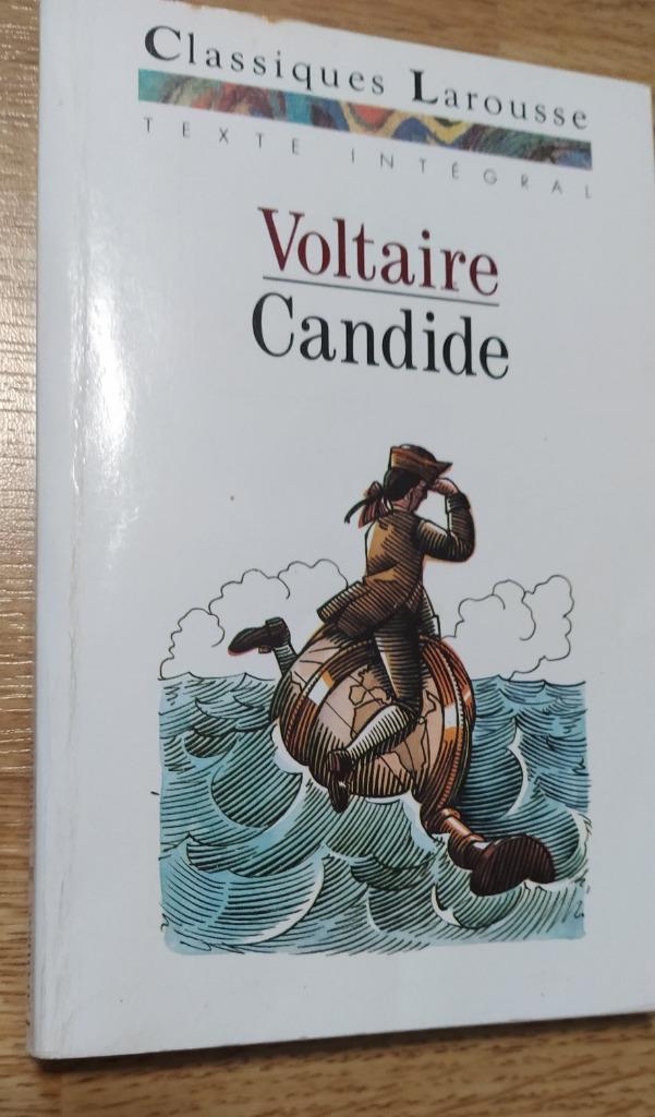 Livre de poche - Voltaire - Candide, Livres, Littérature, Utilisé, Enlèvement ou Envoi