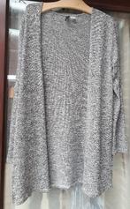 Grijze vest zonder knopen van H&M maat M, Gris, Enlèvement ou Envoi, Porté, Taille 38/40 (M)