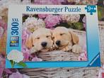 Ravensburger puzzel 300 XXL schattige hondjes, Gebruikt, Ophalen of Verzenden