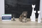 Katten Figuren 4 stuks'