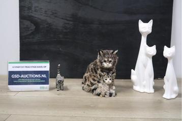 Katten Figuren 4 stuks' beschikbaar voor biedingen
