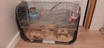 Kooi en 2 gerbels, Dieren en Toebehoren, Ophalen, Kooi