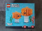 Lego Brickheadz 40442 : Goldfish/Fry, Ensemble complet, Enlèvement, Lego, Neuf