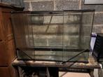 Terrarium exo terra, Dieren en Toebehoren, Ophalen, Gebruikt
