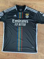 Maillot de football Benfica 23/24 Di Maria, Sports & Fitness, Football, Maillot, Plus grand que la taille XL, Enlèvement ou Envoi