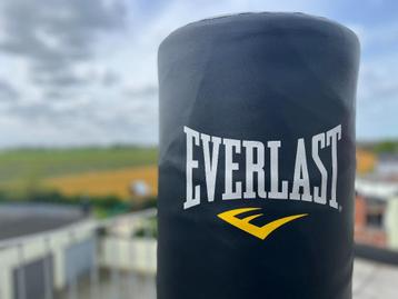 Boksbal/bokszak op paal Everlast Zwart