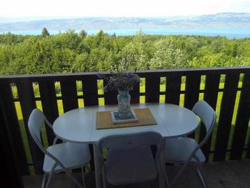 Vacances à la montagne: appart à louer vue sur le Lac Léman 