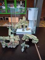 Aquarium met mooie decoratie, alles gekocht in Tom&Co, Dieren en Toebehoren, Ophalen, Zo goed als nieuw