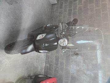 Sym, 125 cm³, Comme neuf, Enlèvement, Fiddle