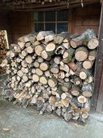 1 stère de chêne en 40cm - Durbuy, Minder dan 3 m³, Ophalen, Eikenhout, Blokken