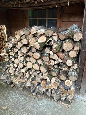 1 stère de chêne en 40cm - Durbuy beschikbaar voor biedingen