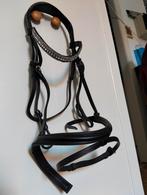 Zwart hoofdstel ( nieuw), Dieren en Toebehoren, Ophalen, Nieuw