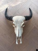 Decoratieve buffel schedel, Ophalen of Verzenden, Zo goed als nieuw, Schedel