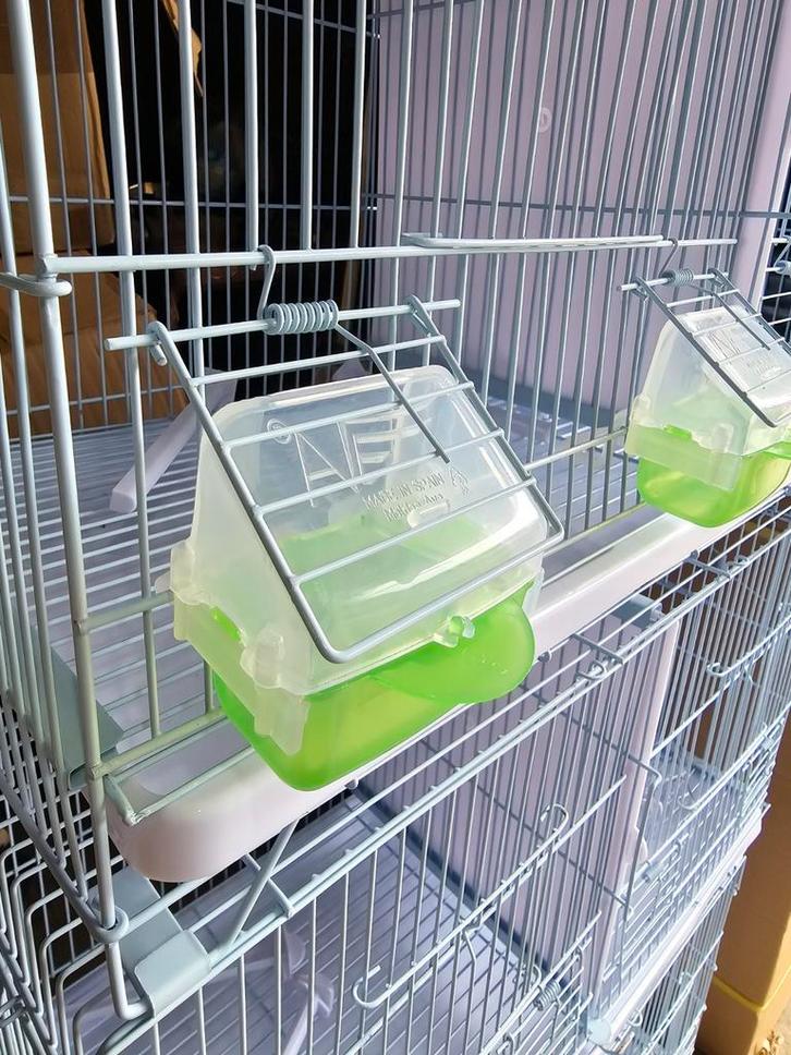 Lucia Feeder "GROEN" met verwijderbare lade - Moldes Ave, Dieren en Toebehoren, Vogels | Toebehoren, Nieuw, Ophalen