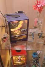 Springspinnen te koop, Dieren en Toebehoren, Reptielen en Amfibieën, Overige soorten, Met terrarium