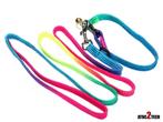 Laisse + collier fluo, Animaux & Accessoires, Colliers & Médailles pour chats, Enlèvement, Neuf