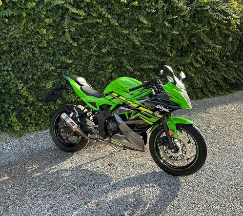 Kawasaki Ninja 125 cc (2019), Motos, Motos | Kawasaki, Entreprise, Sport, jusqu'à 11 kW, 1 cylindre, Enlèvement