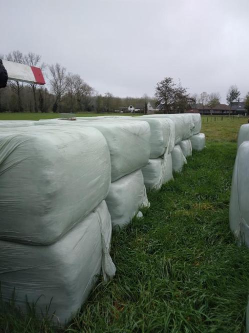 Voordroog hooi 1ste snede nieuwe oogst 2025, Dieren en Toebehoren, Stalling en Weidegang, 1 paard of pony