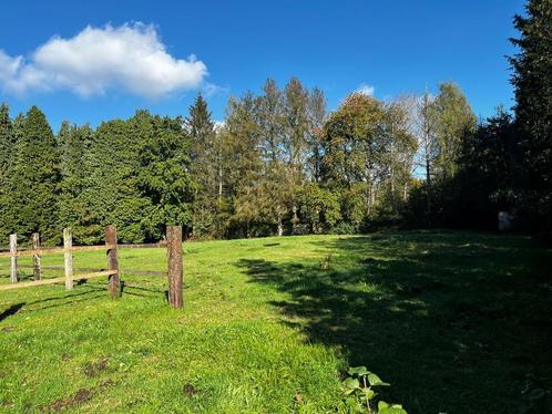 Paardenweide, Dieren en Toebehoren, Stalling en Weidegang, Stalling, Weidegang, 2 of 3 paarden of pony's