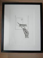 Roger Raveel, Antiek en Kunst, Kunst | Etsen en Gravures, Ophalen