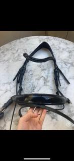 Hoofdstel + teugels Master, Ophalen of Verzenden, Zo goed als nieuw, Dressuur