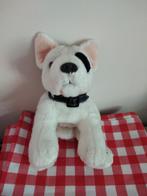 knuffel keel toys hond (doos sept 2024), Ophalen of Verzenden, Nieuw, Hond