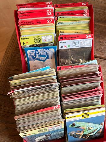 Carte collection fiche animal - Editions Rencontre beschikbaar voor biedingen