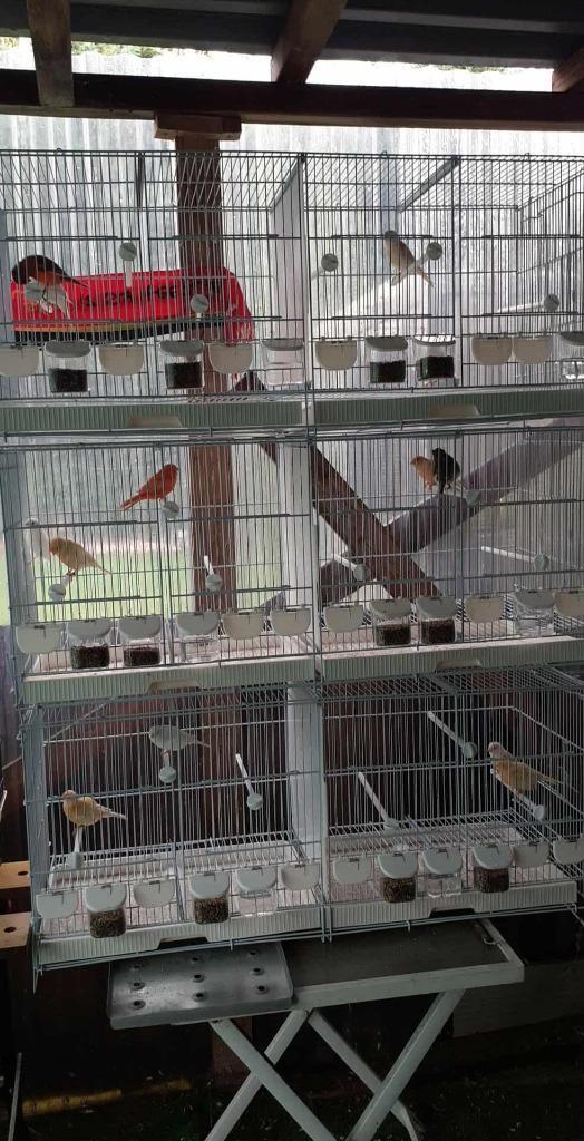 kweek kooi, Dieren en Toebehoren, Vogels | Hokken en Kooien, Zo goed als nieuw, Broedkooi of Kweekkooi, Metaal, Ophalen