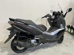 CRUISYM ALPHA 125 NEUF EN STOCK !!, 1 cylindre, Sym, Scooter, 125 cm³