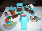 DUPLO Poneys met turkoois decor, Kinderen en Baby's, Speelgoed | Duplo en Lego, Duplo, Gebruikt, Ophalen of Verzenden