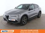 Alfa Romeo Stelvio 2.0 Turbo Super Q4 (automatique), Autos, Cuir, Argent ou Gris, Achat, 161 g/km