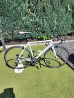 Colnago, Fietsen en Brommers, Ophalen, Gebruikt