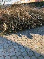 Treurwilg takken GRATIS, Ophalen