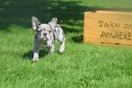 Franse bulldog pups 💖💖💖, Dieren en Toebehoren, 15 weken tot 1 jaar, Buitenland, CDV (hondenziekte), Bulldog