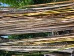 Bamboe stokken, Tuin en Terras, Ophalen