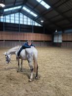 D pony, Dieren en Toebehoren, Paarden, Zadelmak