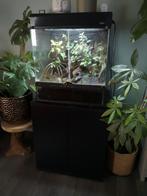 Armoire Exo Terra pour terrarium/paludarium avec 3 grenouill, Enlèvement, Comme neuf