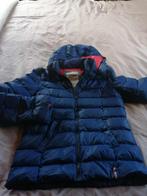 JAS WINTER BLAUW MERK TOMMY / HILFIGER DENIM - MAAT M DUUR I, Gedragen, Blauw, Maat 38/40 (M), Ophalen of Verzenden