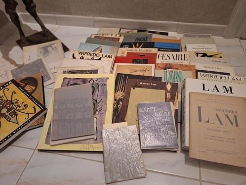 Wifredo Lam Kunstboeken, Boeken, Kunst en Cultuur | Beeldend, Ophalen